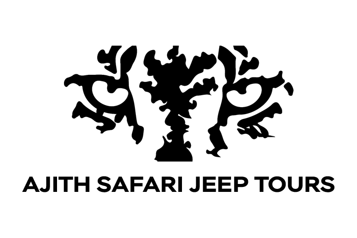 Ajith Safari Jeep Tours